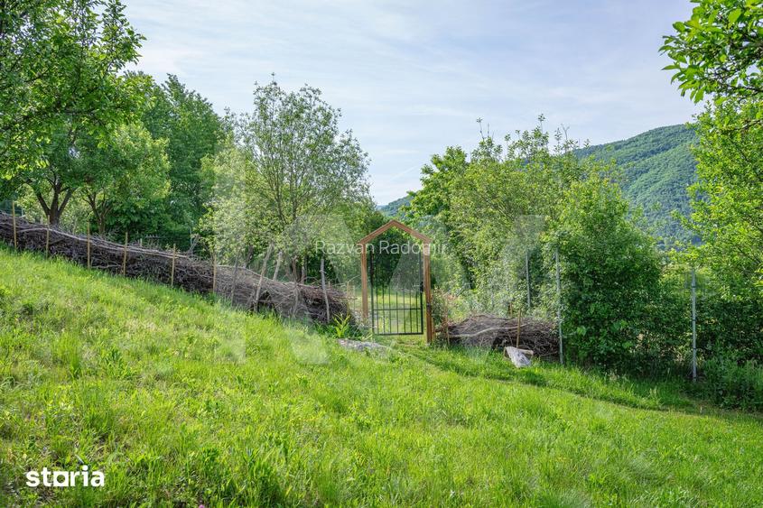 Mai mult decat spatiu: timp, liniste si confort in natura.