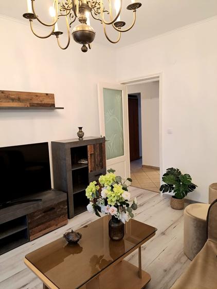 APARTAMENT ELEGANT SI SPATIOS ,2 CAM ROMANA, PIATA AMZEI - 2