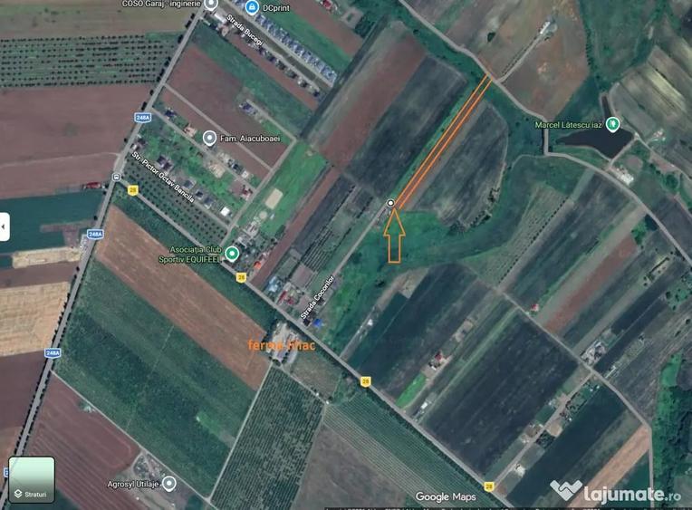 Teren de 5000 mp, în Miroslava