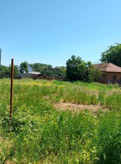 Teren de 450 mp, în Obedin