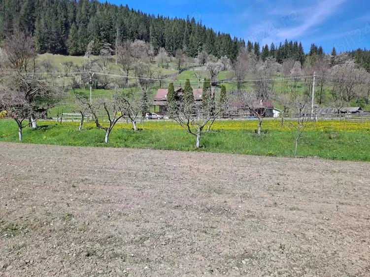 Teren de 3300 mp, în Poiana Largului