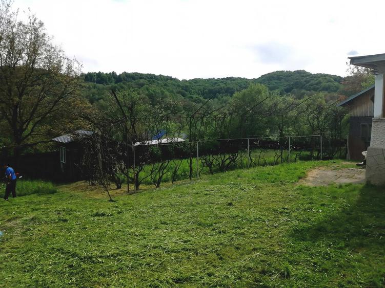 Casă cu 3 camere în Provița de Jos