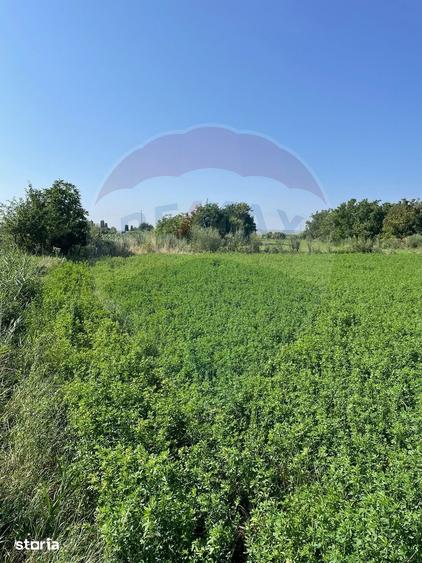 Teren de 1270 mp, în Central