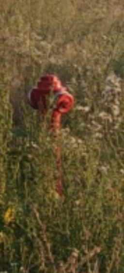 Teren de 781 mp, în Tărlungeni