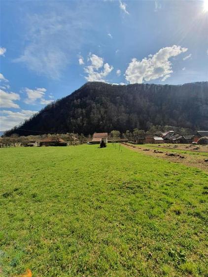Teren Construcții intravilan de 6100 mp, în Bulz