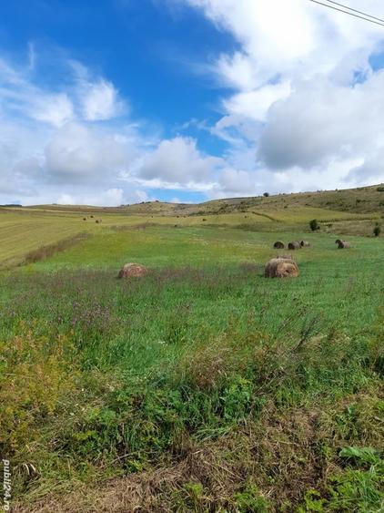 Teren de 5800 mp, în Gădălin