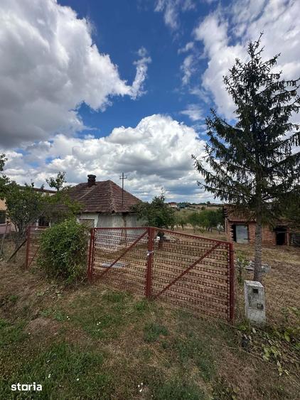 Teren Intravilan,Viile Satu Mare - 8