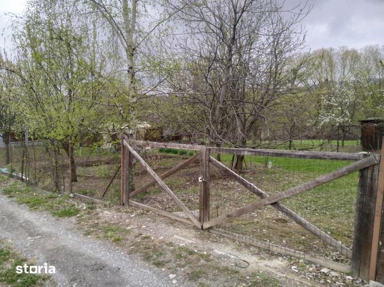 Teren de 803 mp, în Ciurila
