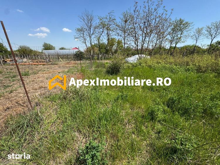 Teren intravilan de vanzare Cornetu IF | ApexImobiliare.ro - 4
