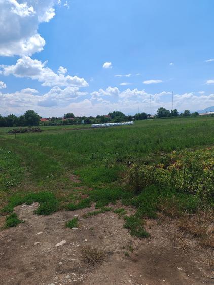 Teren Construcții intravilan de 5000 mp, în Bod