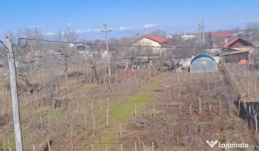 Teren de 1200 mp, în Coșoveni