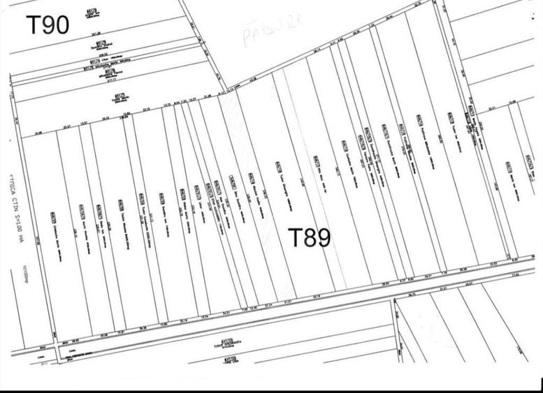 Teren de 4984 mp, în Săbăreni