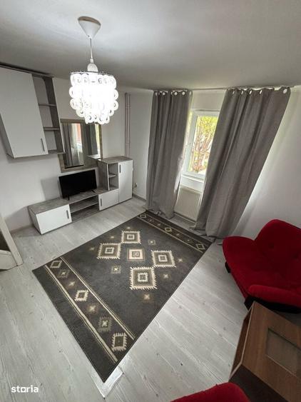 apartament 2 camere cu parcare,gradina, piscina in sector 4 - 13