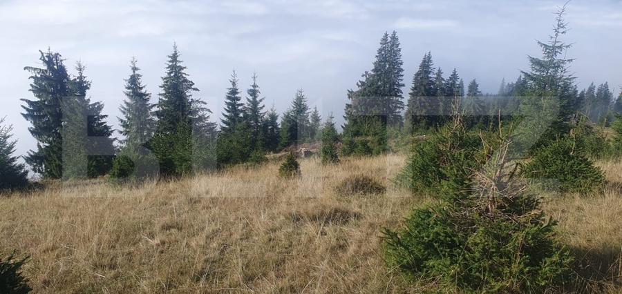 Teren Construcții extravilan de 50000 mp, în Vatra Dornei