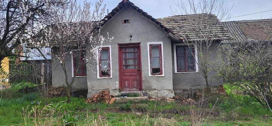 Casă cu Teren 2000 Mp în Plenița