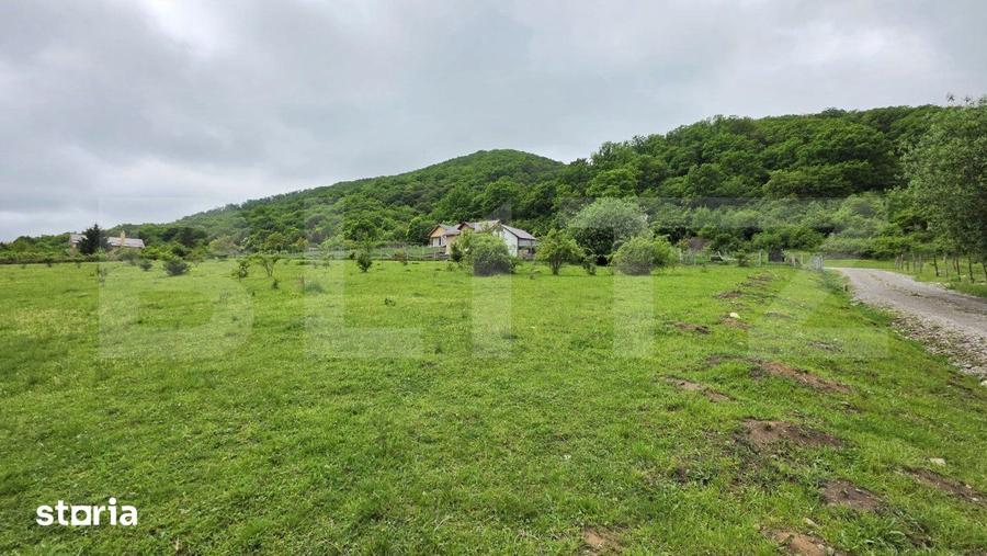 Teren de 1450 mp, în Viișoara