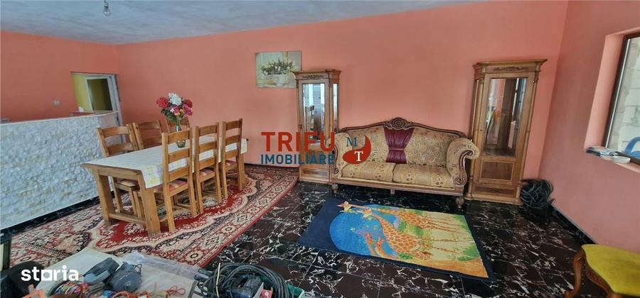 Casa pe un nivel, 4 camere cu teren de 1000 mp in Sard - 9