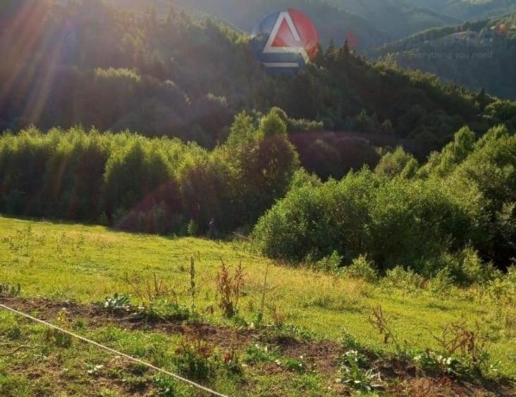 Teren intravilan de 10669 mp, în Moieciu de Jos