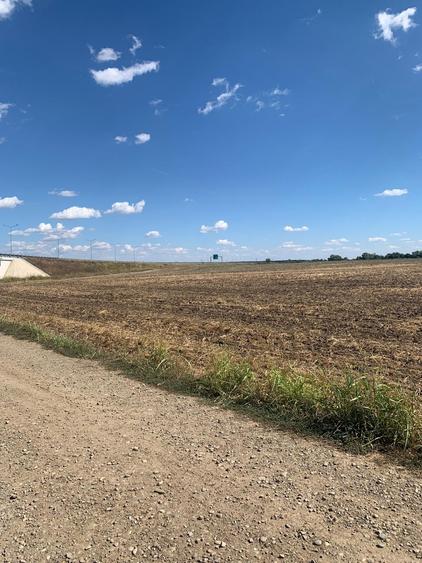 Teren agricol intravilan de 4000 mp, în Dimieni