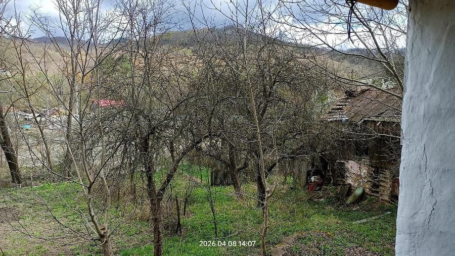 Teren de 4660 mp, în Bozioru