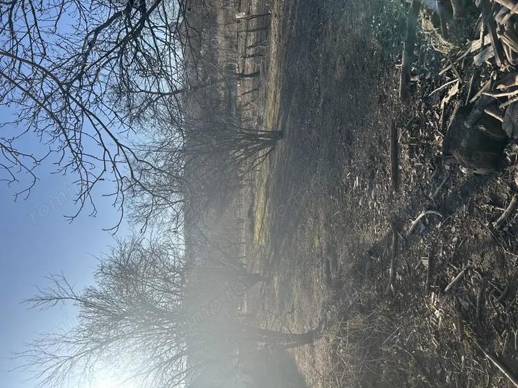 Casă cu 3 camere cu Teren 1400 Mp în Lopadea Veche