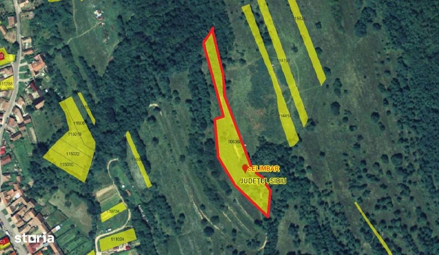 Teren extravilan 5500 mp, la padure zona Selimbar (Mohu) - 4