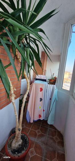 Patru camere comfort maxim - 19