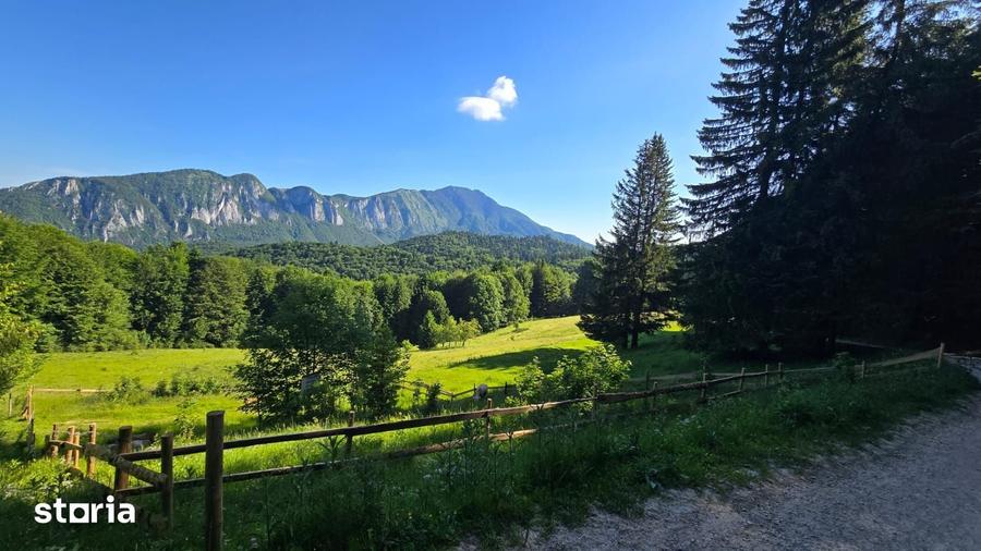 Teren de 2650 mp, în Central