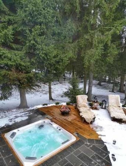 Cabana, pensiune, casa de vacanta, afacere la cheie- Belis - 3