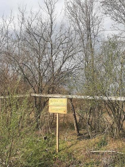 Teren de 2000 mp, în Sânnicolau Român