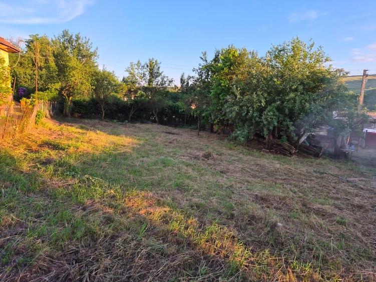 Casă individuală cu 3 camere cu Teren 700 Mp în Dăbâca