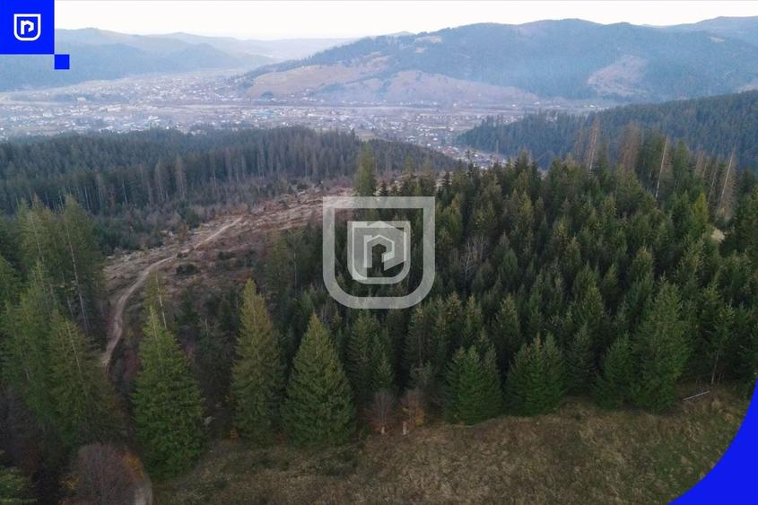 Teren extravilan de 3139 mp, în Vest