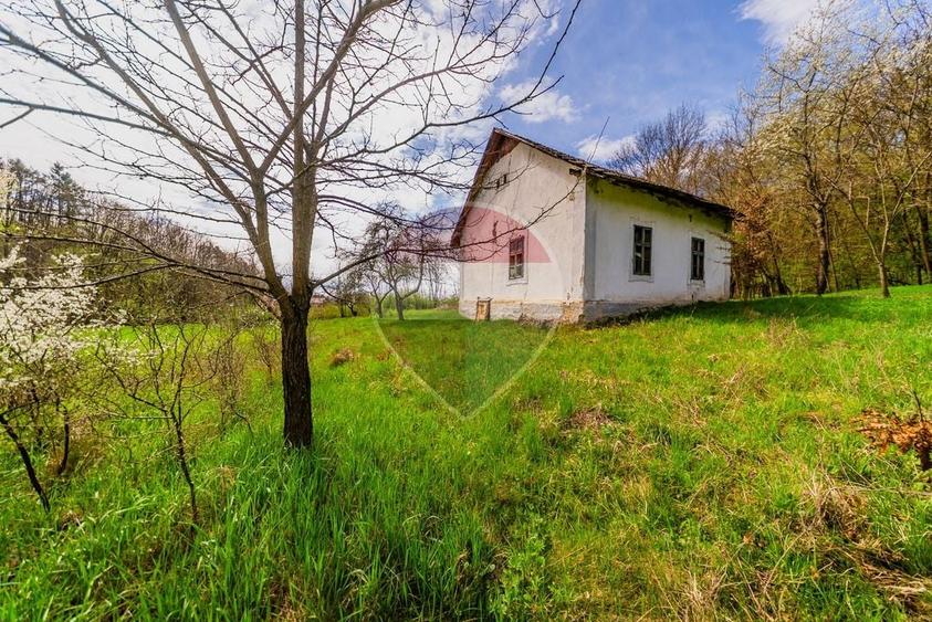 Casă individuală cu 4 camere cu Teren 5000 Mp în Cărand