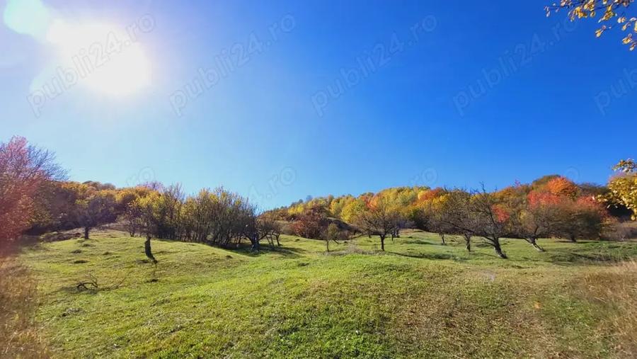 Campulung, terenuri Grui, Flamanda, Valea Romanestilor si Schitu Golesti-proprietar - 4