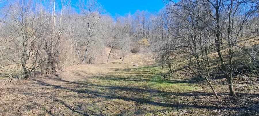 Teren agricol intravilan de 2142 mp, în Podul Lung