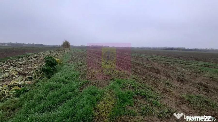 Teren Investi?ie aproape de Bucure?ti - 1 Decembrie (Bucuresti-Ilfov) - 10