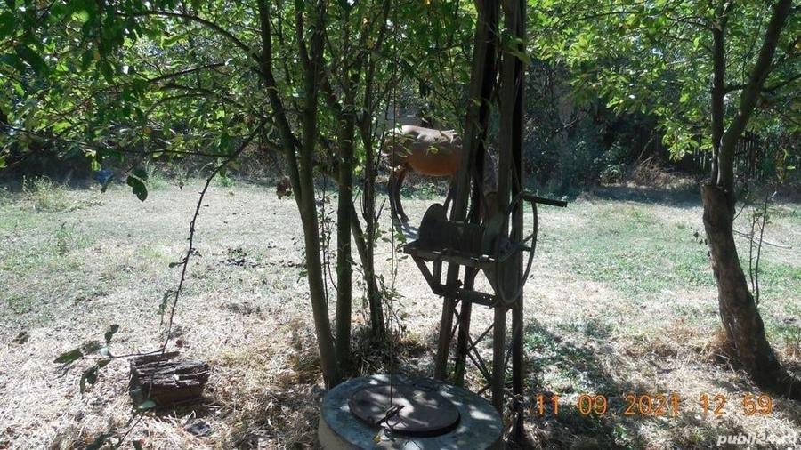 Casă individuală cu 2 camere cu Teren 7000 Mp în Balota de Jos