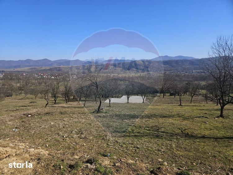 Teren de 4627 mp, în Bârsana