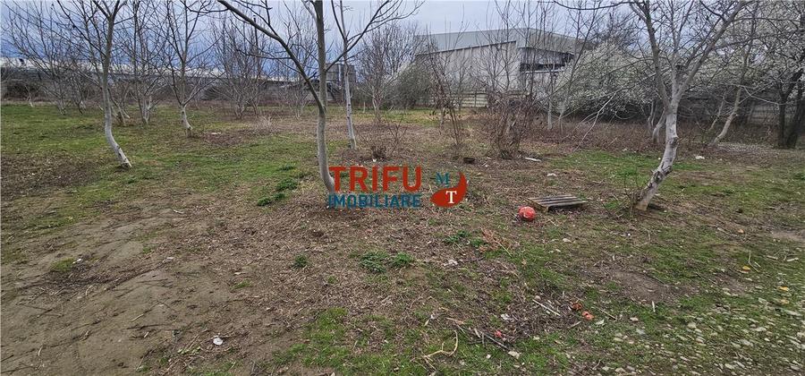 Teren Construcții intravilan de 5500 mp, în Ampoi 1
