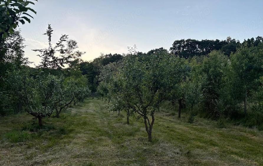 Teren de 5000 mp, în Central