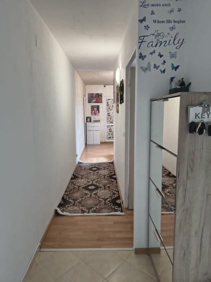 Apartament cu 2 camere decomandat în Paltin