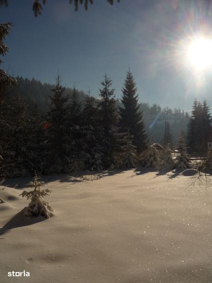 Teren de 1600 mp, în Arieșeni