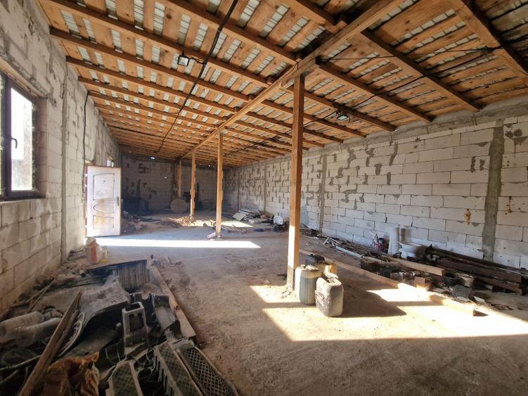 Nicolae Balcescu-Hala 160mp+ dependinte racordata la utilitati, cu teren 1300mp, - 24