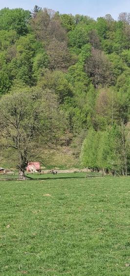 Teren de vanzare Plaiul Foii- Zarnesti - 8