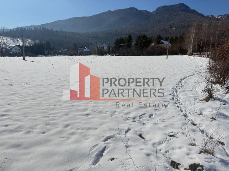 Teren Bran Tohanita | Intravilan 1.500 mp | Vedere Panoramică| - 1