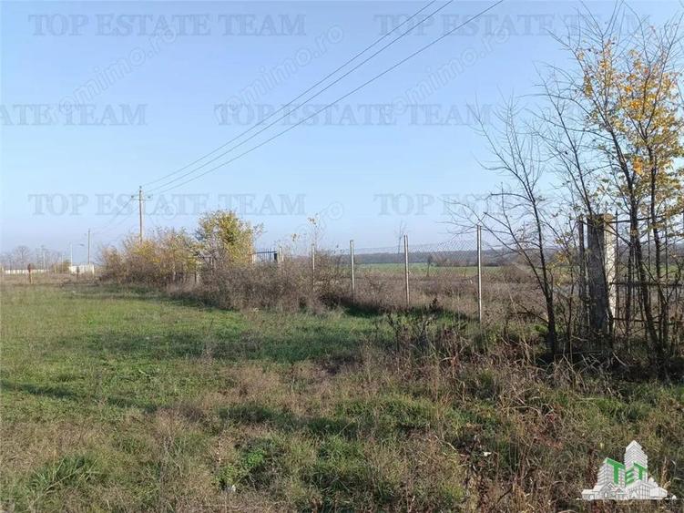 Super teren intravilan (Lot 1) la DJ 101, loc. Gruiu IF, ideal pentru dezvoltatori imobiliari pentr - 3