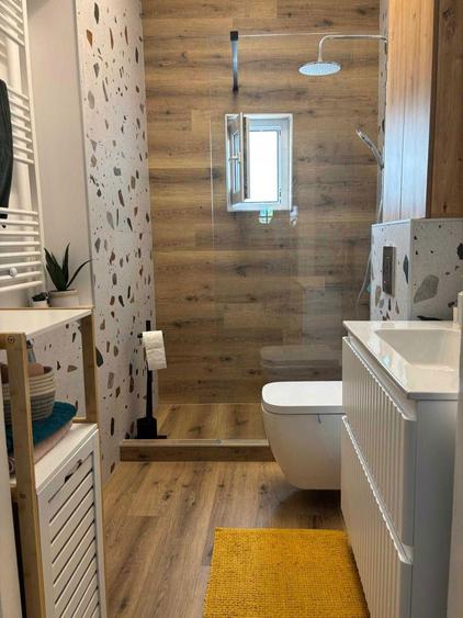 Proprietar vand casa cu gradina in Centrul Civic, strada Olteniei 25 - 2