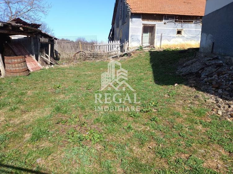 Două case de vânzare – Cerisor – teren generos 6996 mp - 10