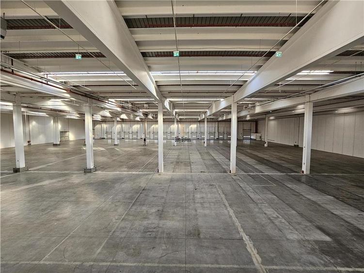 Spatiu Industrial - 5000 mp - Logistica - Depozitare - Distributie - 8