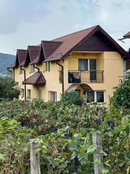 Vand casa in Goranu - Rm Valcea - 2